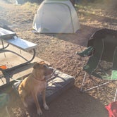 Review photo of Davis Mountains State Park Campground by Sarah D., July 9, 2018