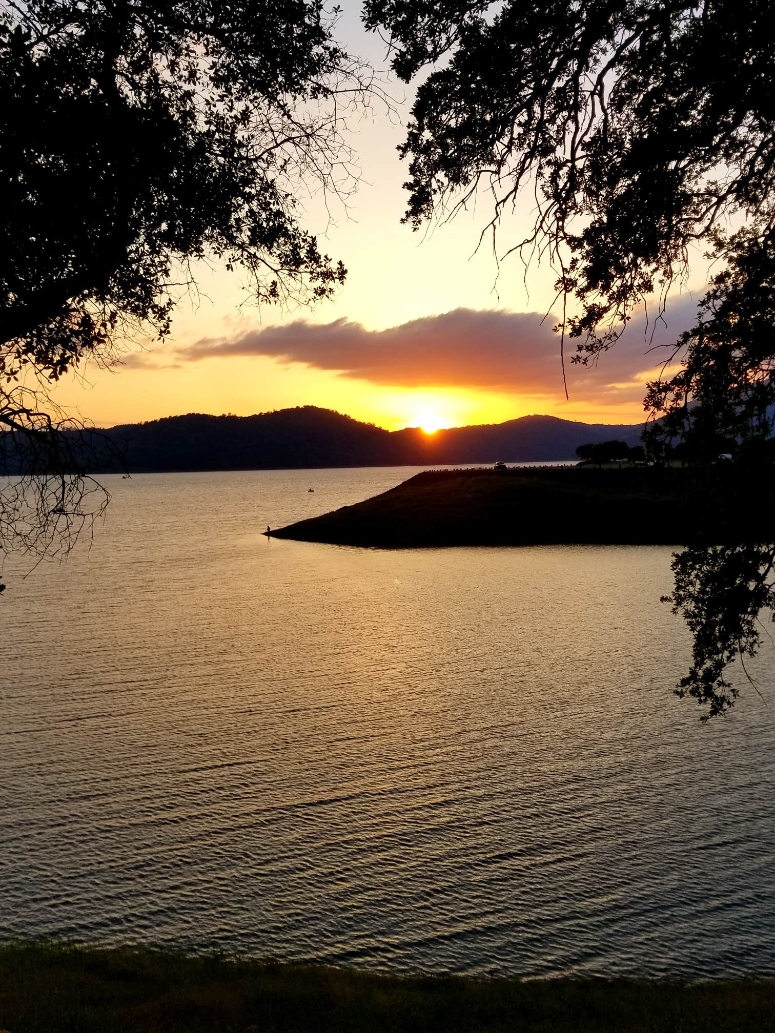 Camper-submitted photo at Glory Hole Recreation Area near Stockton, CA