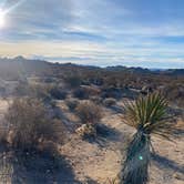 Review photo of Cottonwood Campground — Joshua Tree National Park by Clint J., December 27, 2021