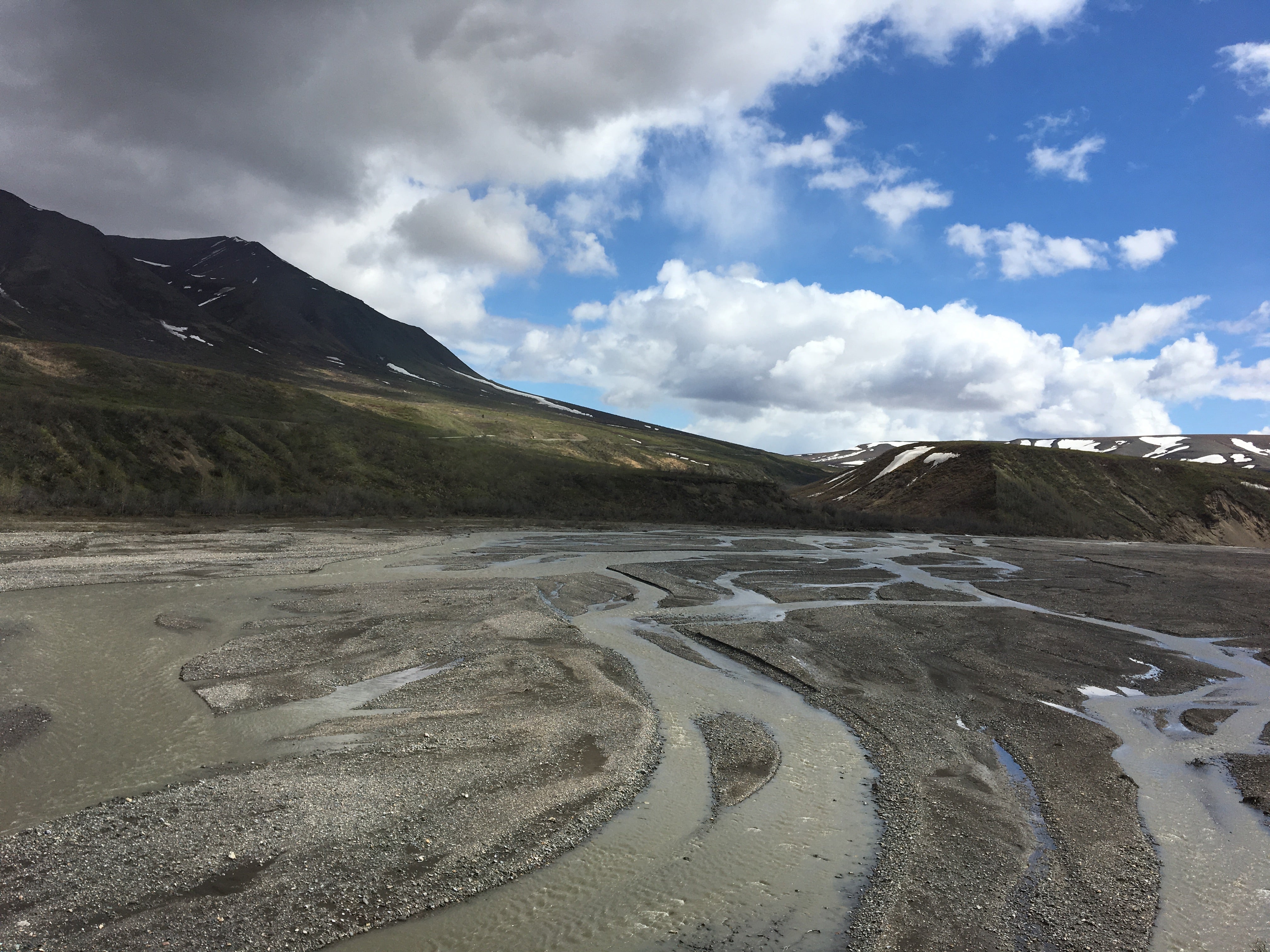 Camper submitted image from Backcountry Unit 31: Polychrome Mountain — Denali National Park - 3