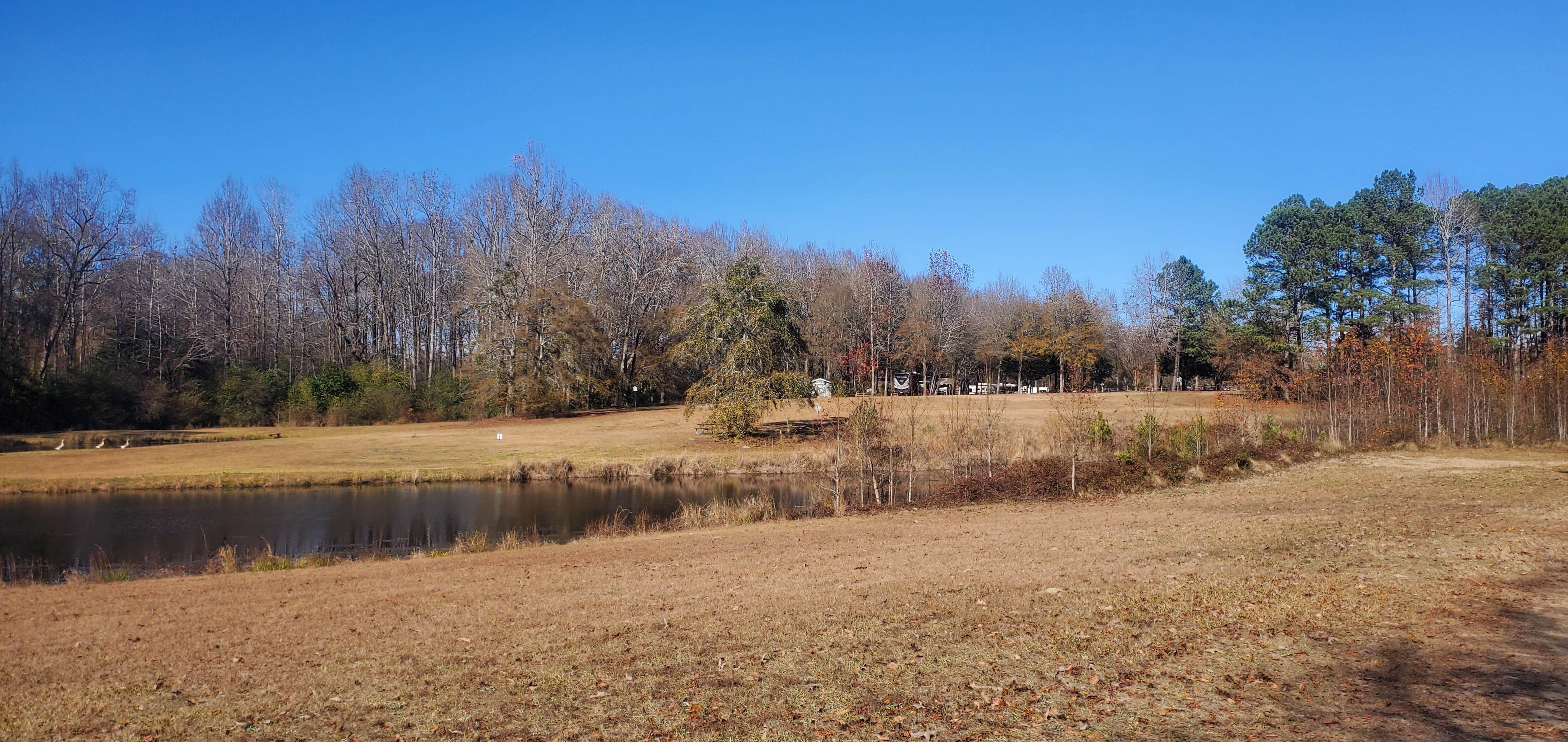 Camper-submitted photo at River Bottom Farms Family Campground near Orangeburg, SC