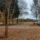 Review photo of River Bottom Farms Family Campground by Heather H., December 27, 2021