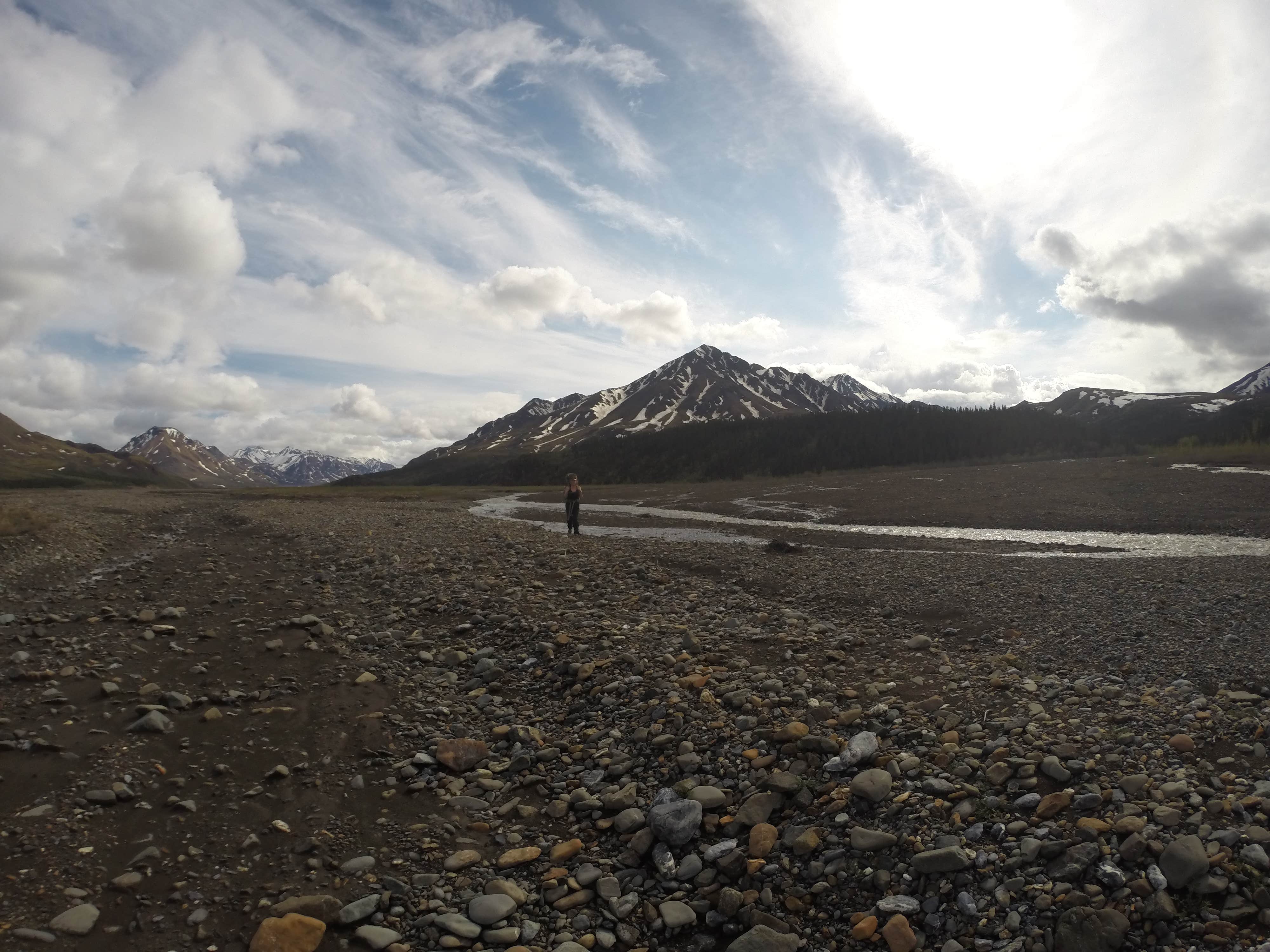 Camper-submitted photo at Backcountry Unit 31: Polychrome Mountain — Denali National Park near Denali National Park & Preserve