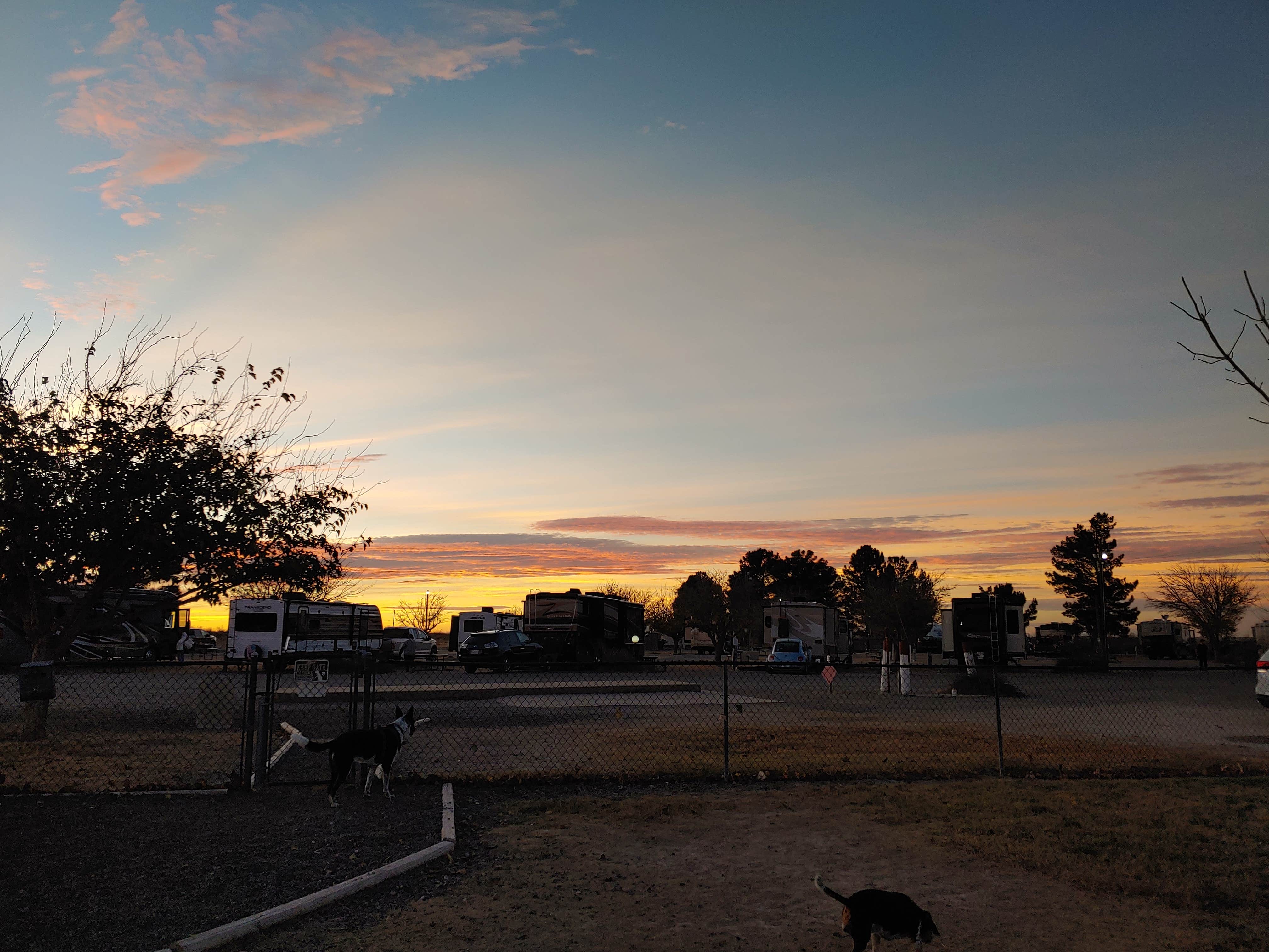 Mary G.'s photo of camping with pets at Fort Stockton RV Park near Fort Stockton, TX
