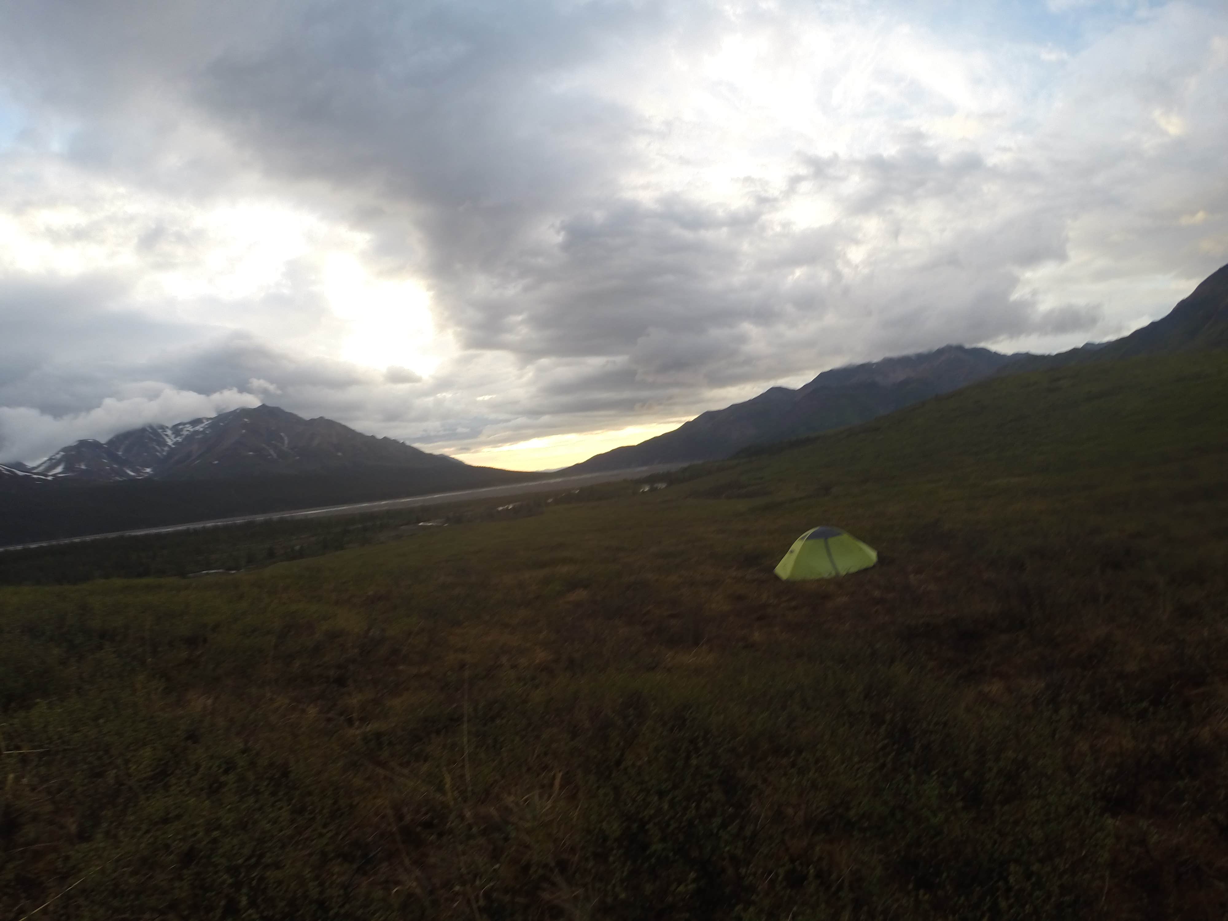 Camper-submitted photo at Backcountry Unit 31: Polychrome Mountain — Denali National Park near Denali National Park & Preserve