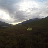 Review photo of Polychrome Mountains Backcountry at Toklat River by Gillian H., July 9, 2018