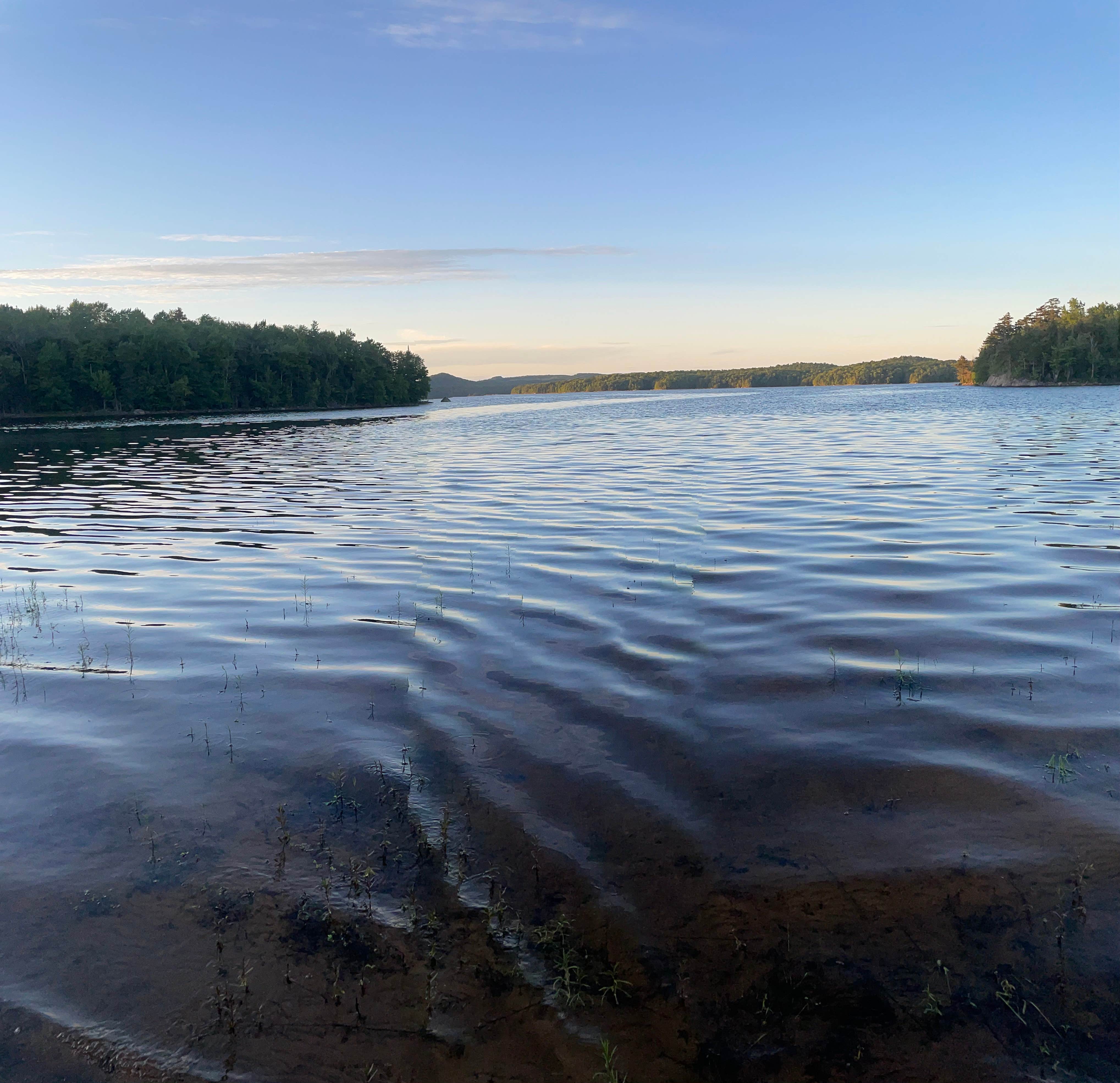 sam T.'s photo of a dispersed camping area at Stillwater Reservoir near Rodman, NY