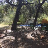 Review photo of Hill Country State Natural Area by Sarah D., July 9, 2018