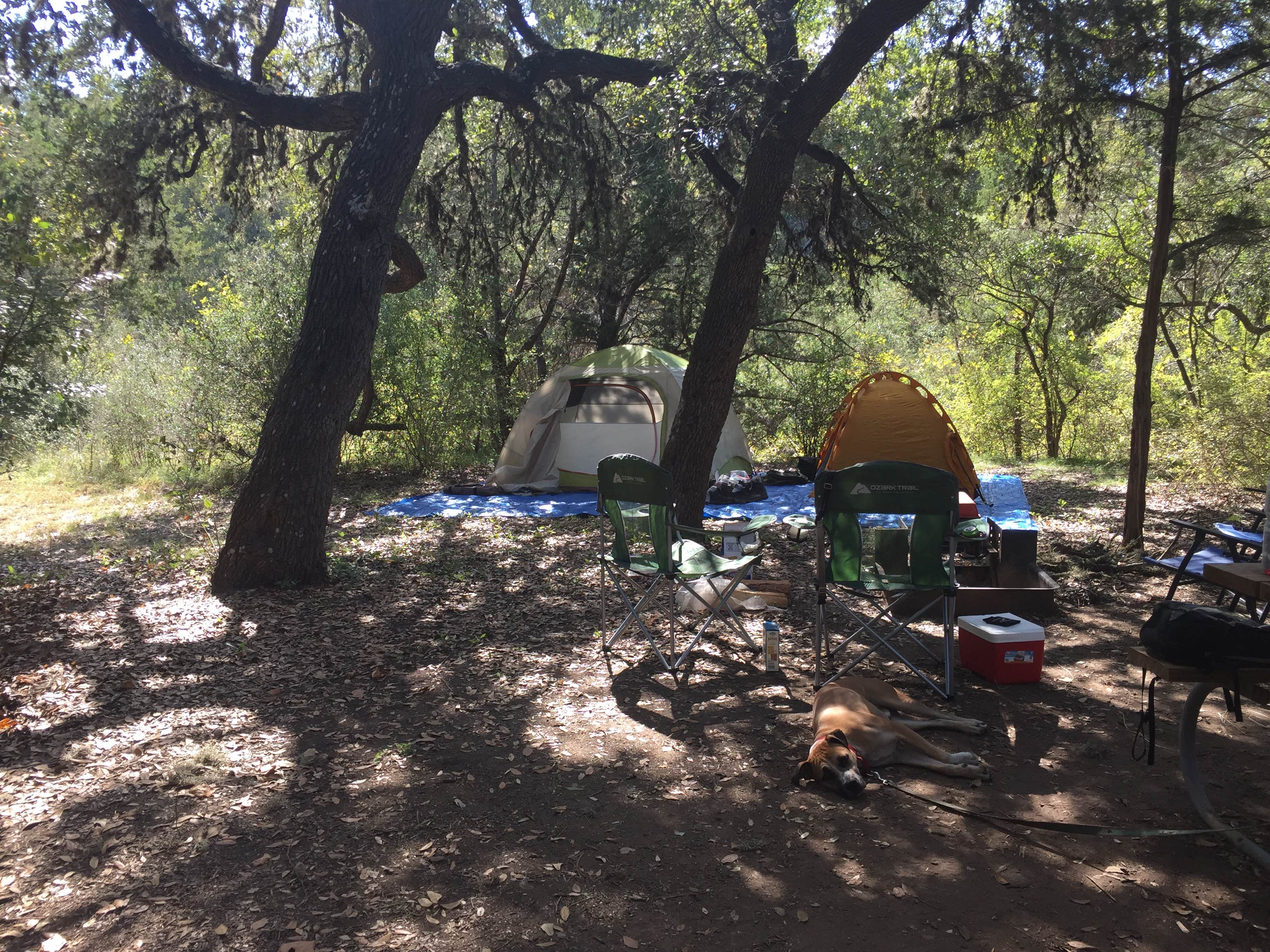 Camper submitted image from Hill Country State Natural Area - 4