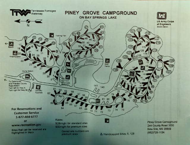 Camper submitted image from Piney Grove - 5