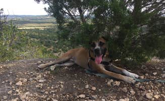 Sarah D.'s photo of camping with pets at Hill Country State Natural Area near Castroville, TX