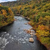 Review photo of Kentuck Campground — Ohiopyle State Park by Shari  G., December 28, 2021