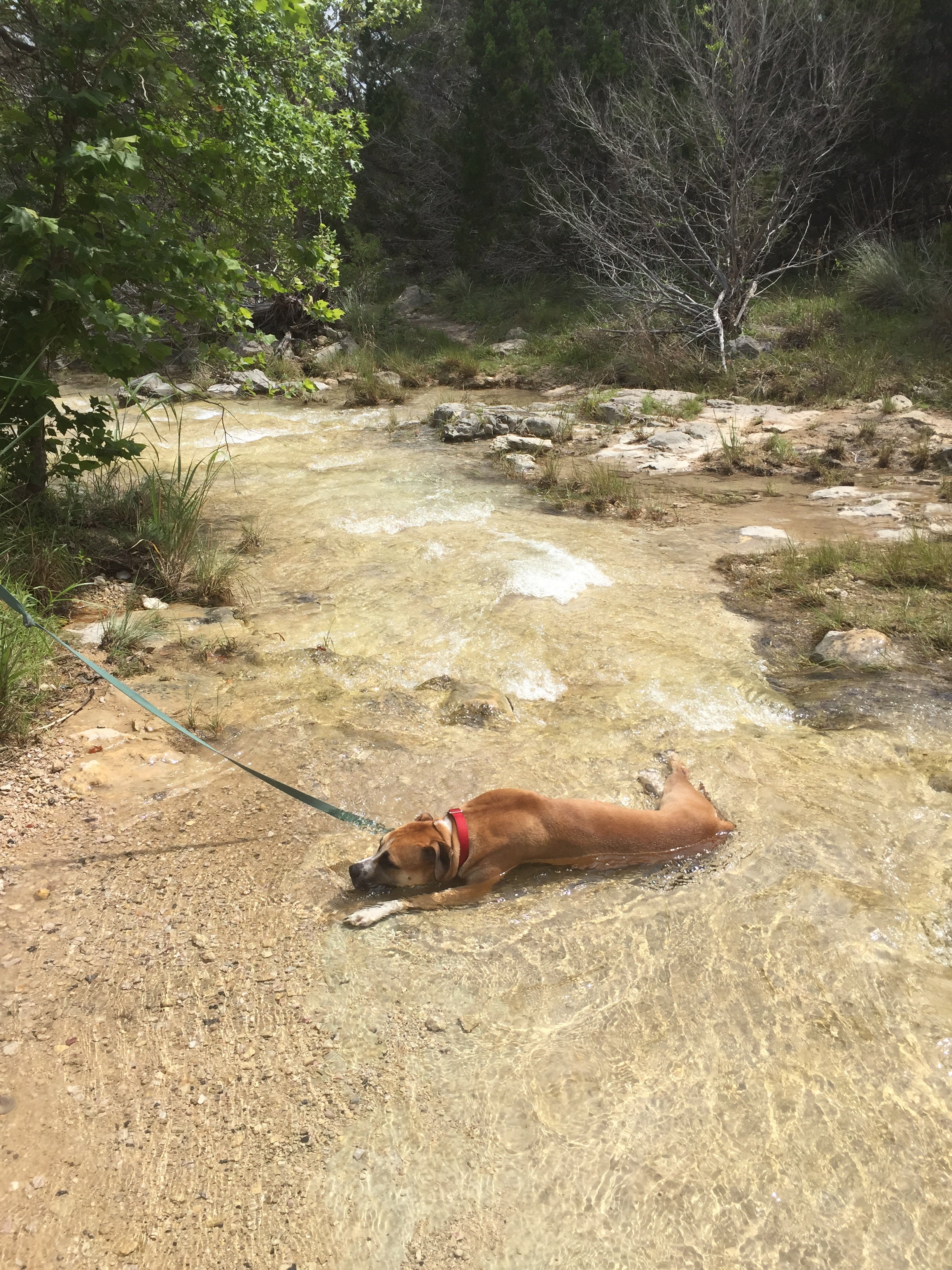 Cooling off along the trail. 