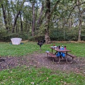 Review photo of Irons Mountain Hiker-biker Overnight Campsite — Chesapeake and Ohio Canal National Historical Park by Shari  G., December 28, 2021