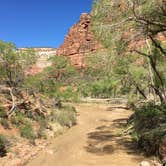 Review photo of Zion RV and Campground (Hi-Road) by Shannon C., July 24, 2016