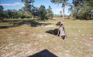 Jaime G.'s photo of camping with pets at Highlands Hammock State Park Campground near Palmdale, FL