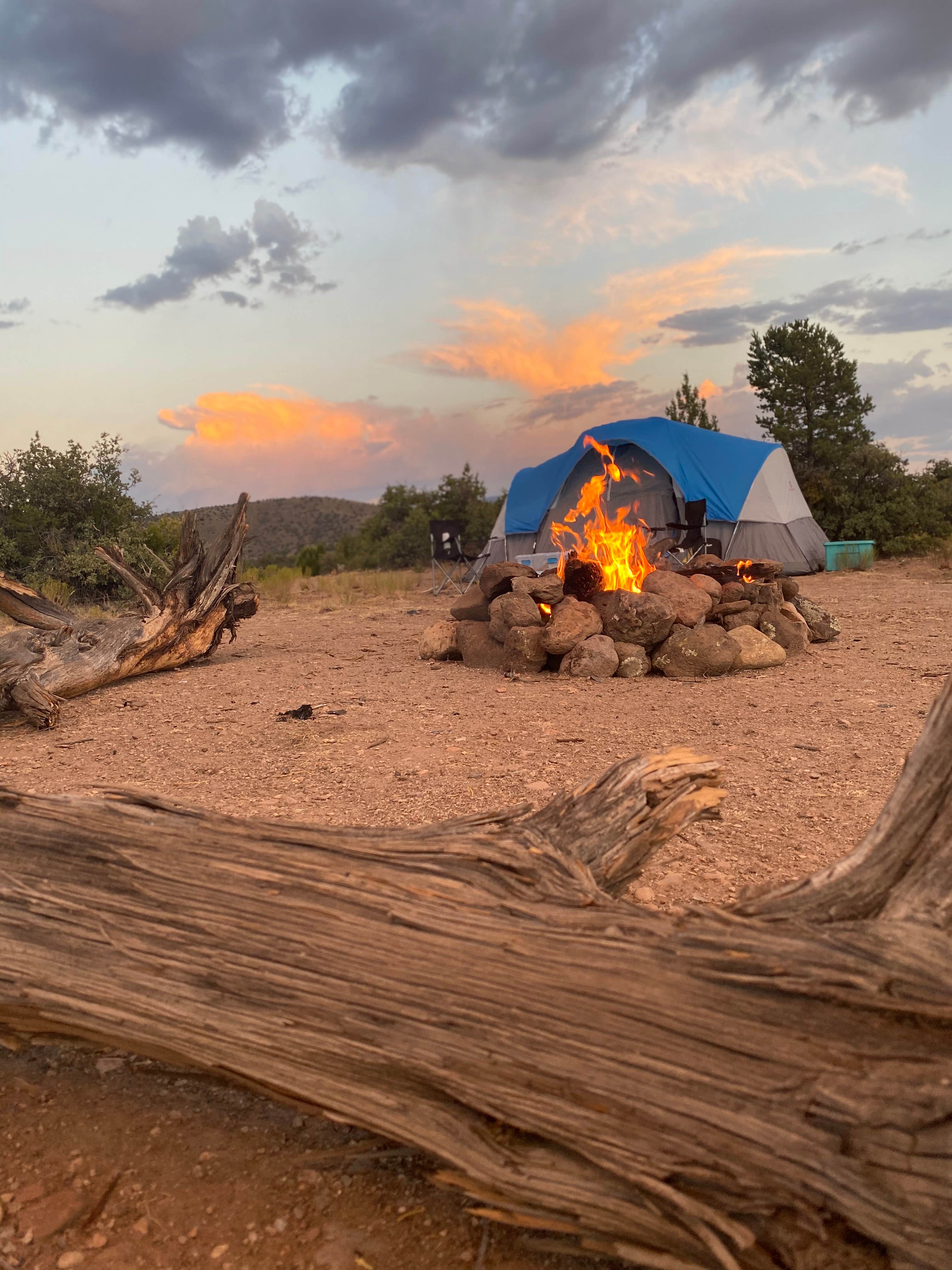 Niecey P.'s photo at Cosmic Campground near Morenci, AZ