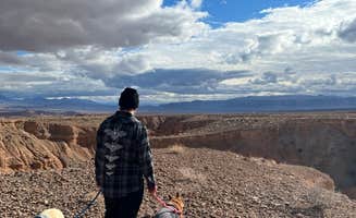 Alisa B.'s photo of camping with pets at Snowbird Mesa near Overton, NV