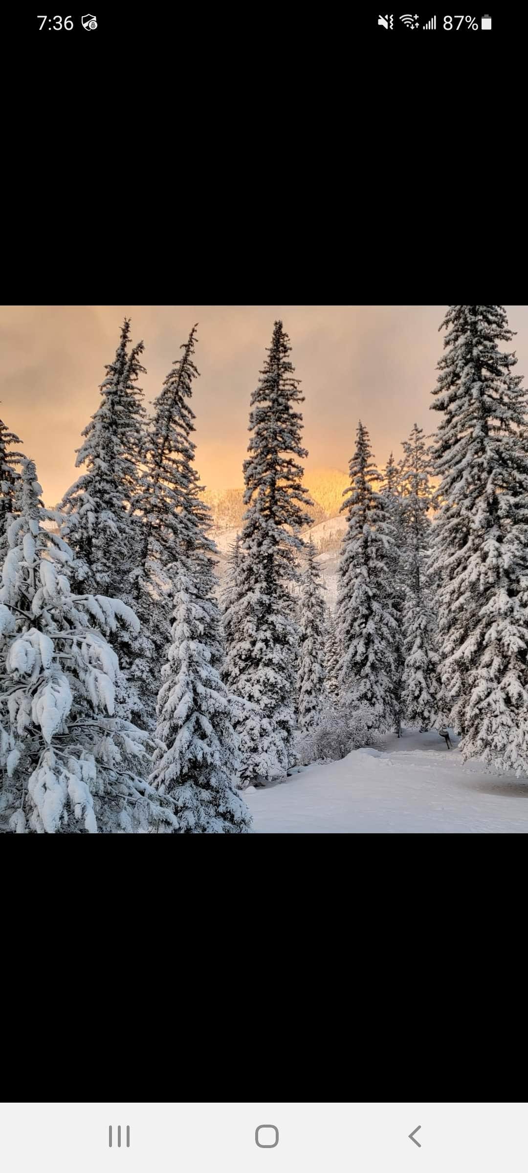 Camper-submitted photo at Mountain Meadow Camp near San Juan National Forest