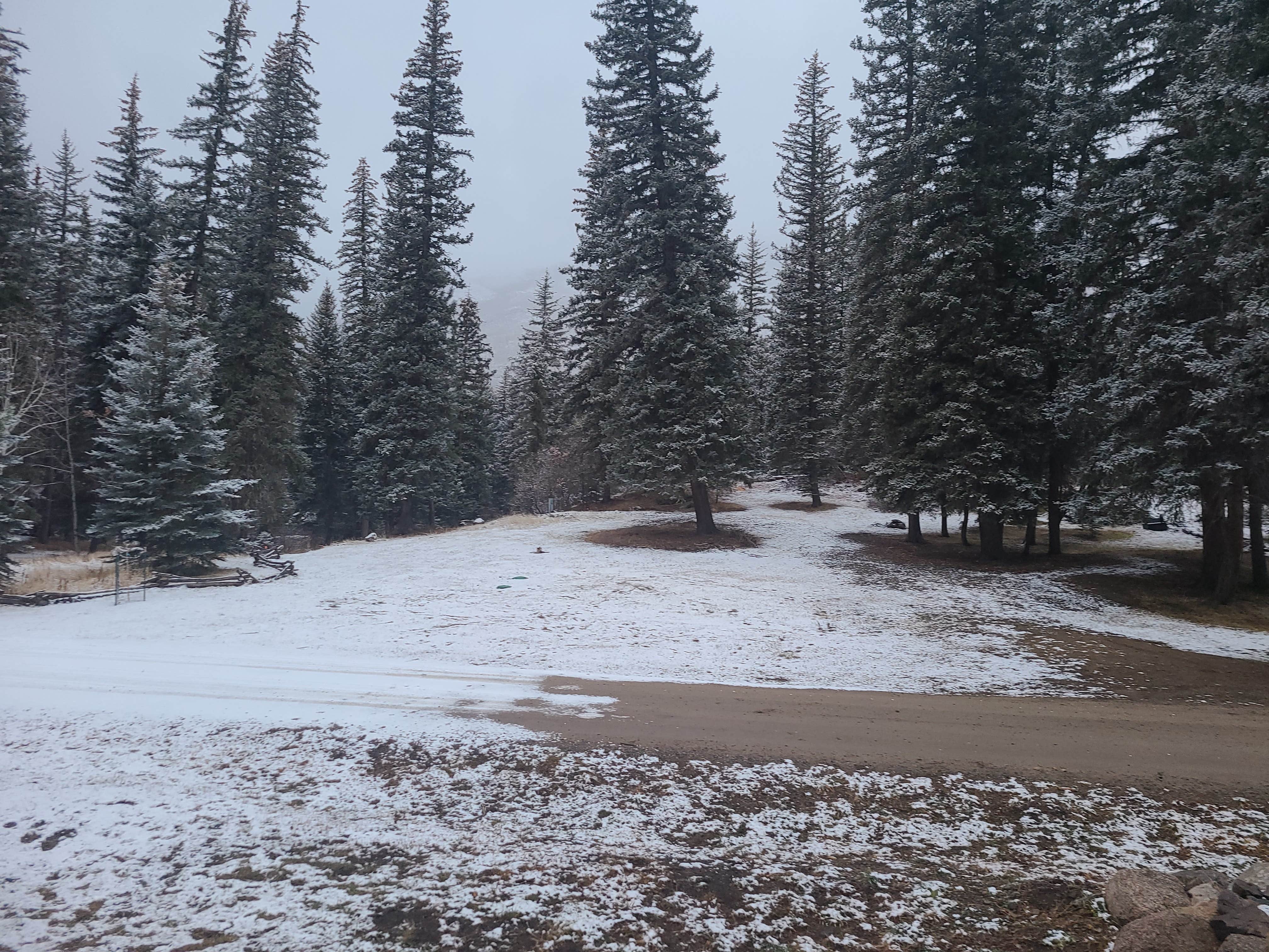 Camper-submitted photo at Mountain Meadow Camp near San Juan National Forest