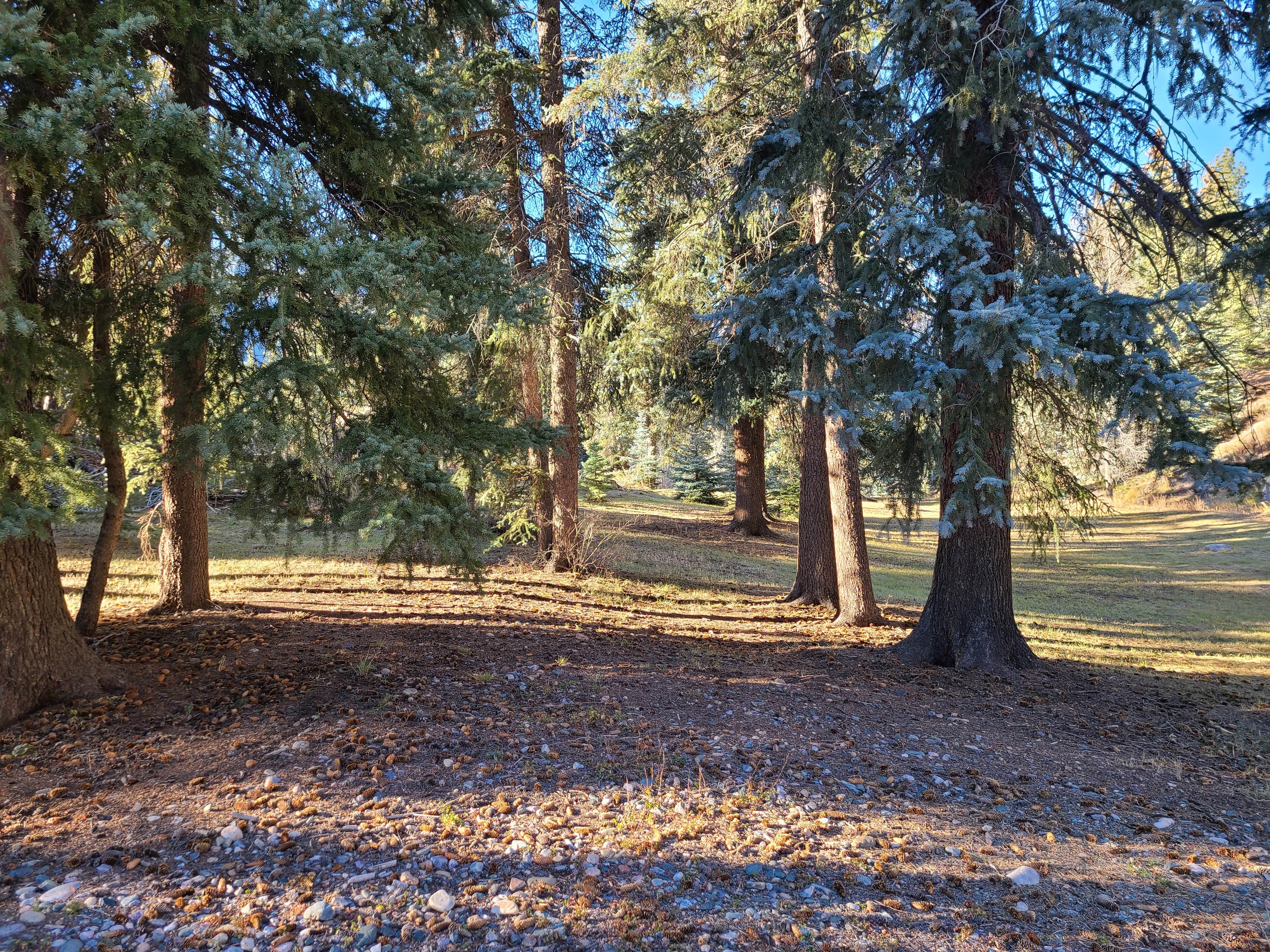 Camping near Vallecito Resort: Mountain Meadow Camp, Bayfield, Colorado