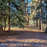 Review photo of Mountain Meadow Camp by Rudi W., December 28, 2021