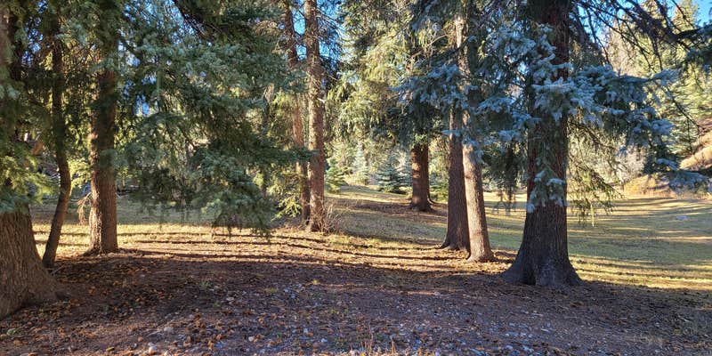 Camper submitted image from Mountain Meadow Camp