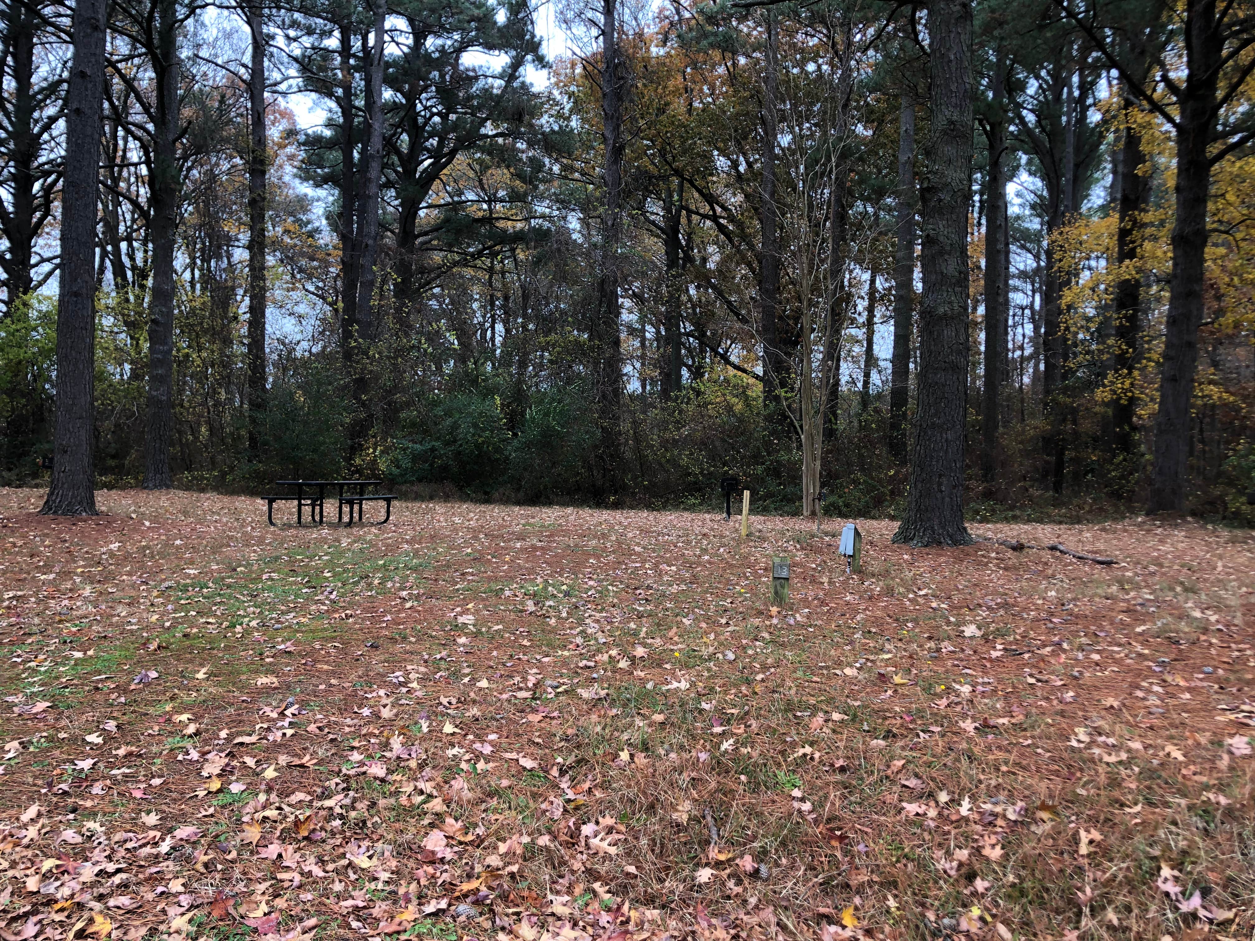 Camper-submitted photo at Gosnold's Hope Park near Newport News, VA