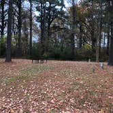 Review photo of Gosnold's Hope Park by N I., December 28, 2021
