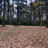 Review photo of Gosnold's Hope Park by N I., December 28, 2021