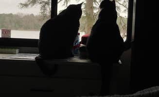 JZ W.'s photo of camping with pets at Trace State Park Campground near Potts Camp, MS