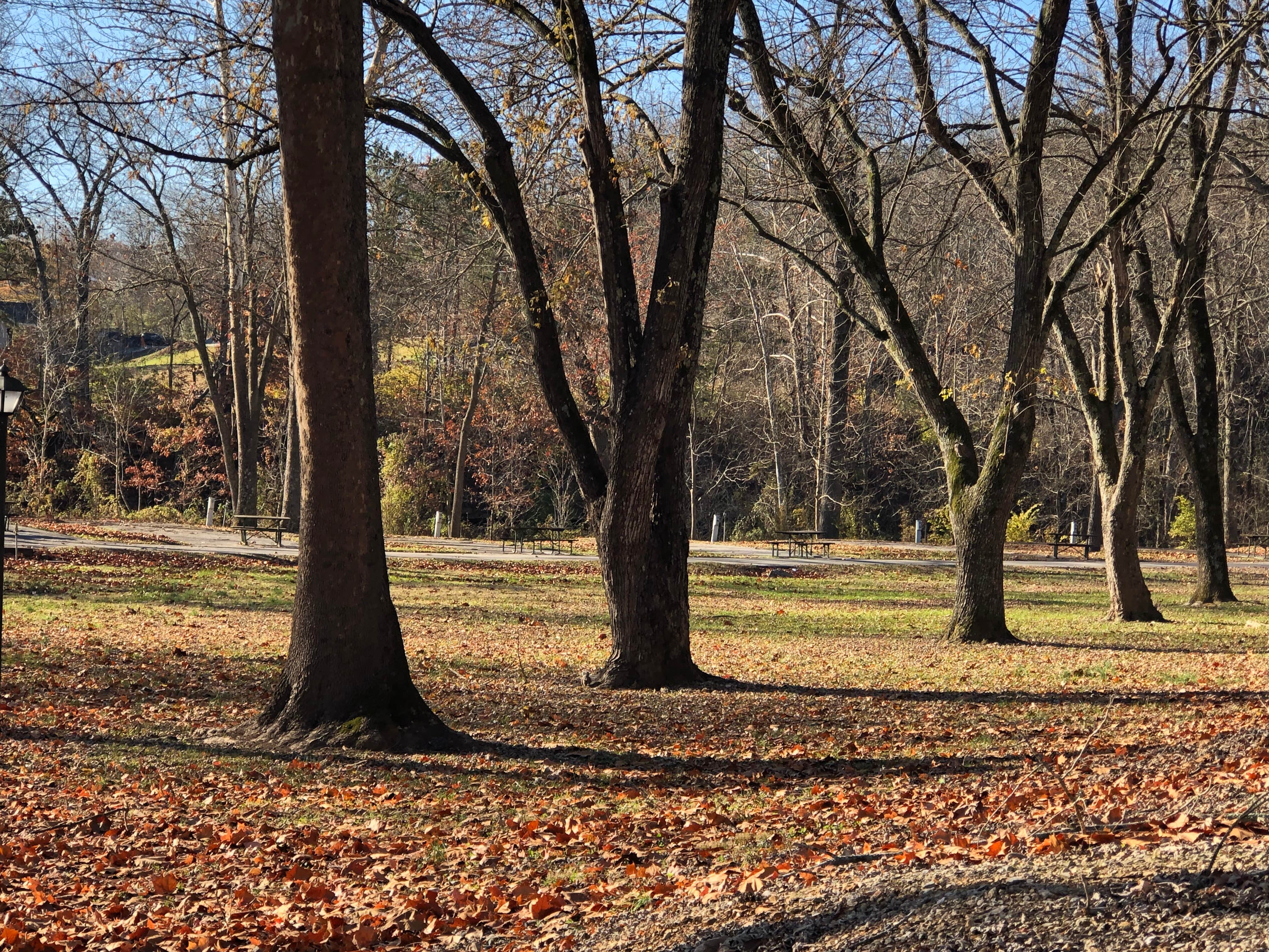 Camper-submitted photo at Fall Creek Resort near Brookline, MO