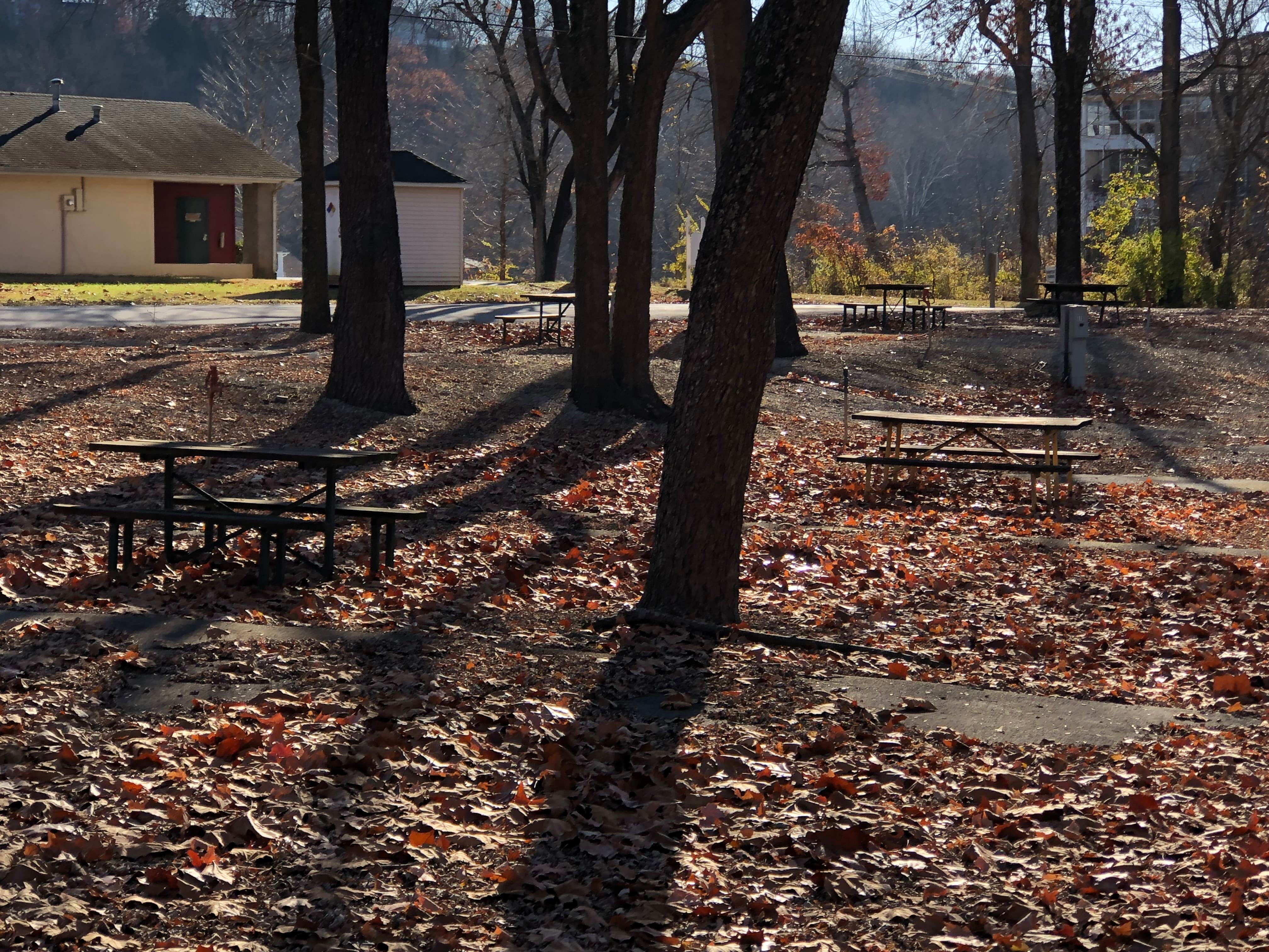 Camper-submitted photo at Fall Creek Resort near Brookline, MO
