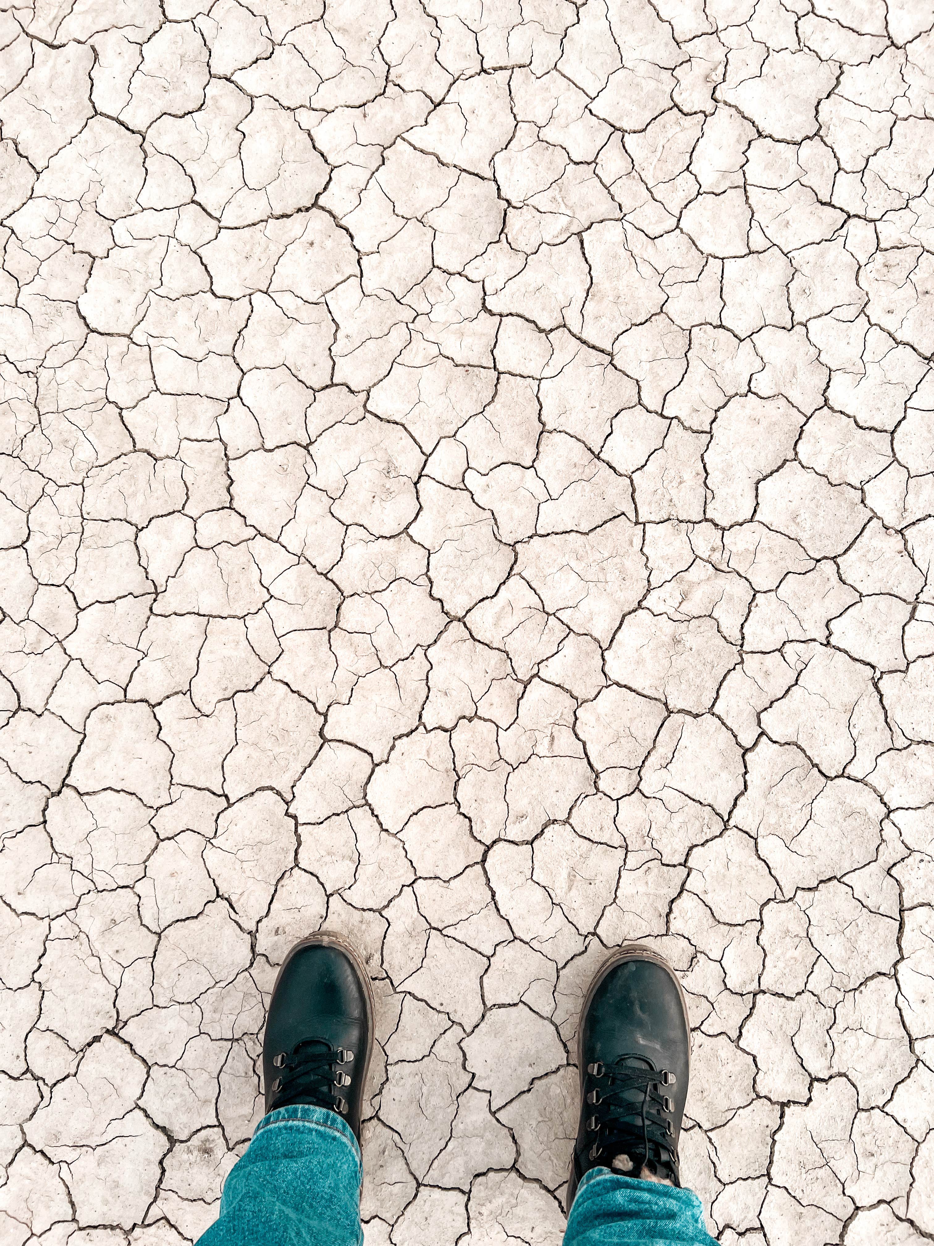 Camper submitted image from Silurian Dry Lake Bed - 2