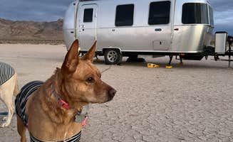 Alisa B.'s photo of camping with pets at Silurian Dry Lake Bed near Cima, CA