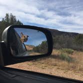 Review photo of Juniper Campground — Palo Duro Canyon State Park by Sarah D., July 9, 2018