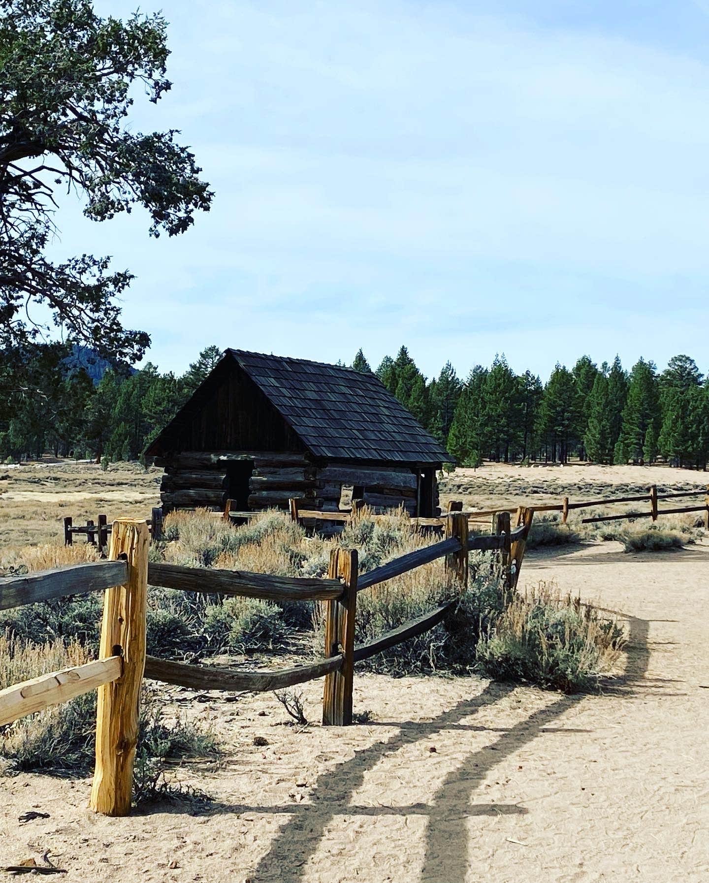 Sandra S.'s photo of glamping accommodations at Serrano near Cedarpines Park, CA