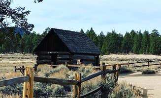 Sandra S.'s photo of glamping accommodations at Serrano near Moreno Valley, CA