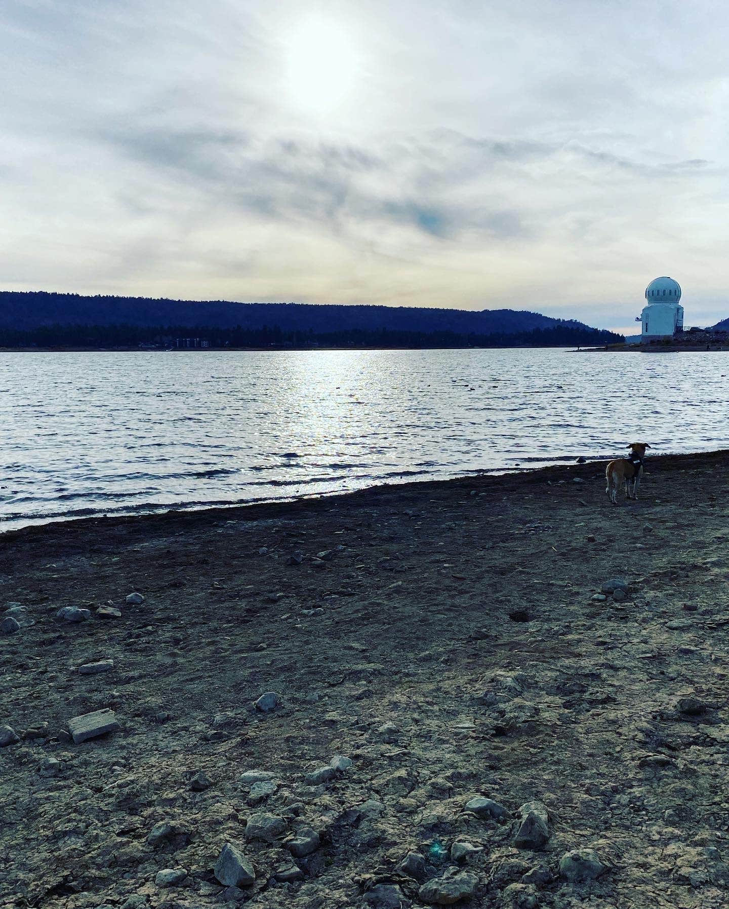Sandra S.'s photo of camping with pets at Serrano near Apple Valley, CA