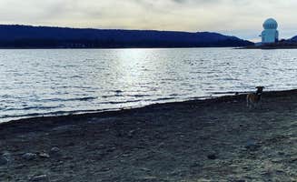 Sandra S.'s photo of camping with pets at Serrano near Lake Arrowhead, CA