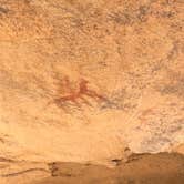 Review photo of Hueco Tanks State Park & Historic Site by derek , December 29, 2021