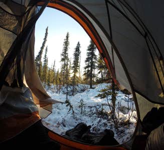 Camper-submitted photo from Backcountry Entrance Units — Denali National Park