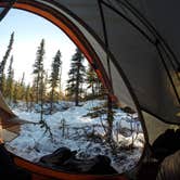 Review photo of Denali Backcountry Entrance Units by Gillian H., July 9, 2018