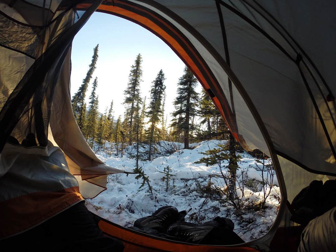 Camper submitted image from Denali Backcountry Entrance Units - 3