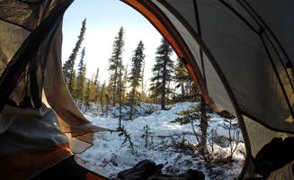 Gillian H.'s photo at Backcountry Entrance Units — Denali National Park near Healy, AK