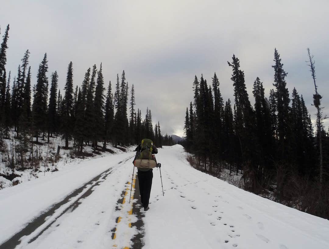 Camper-submitted photo at Backcountry Entrance Units — Denali National Park near Denali National Park and Preserve
