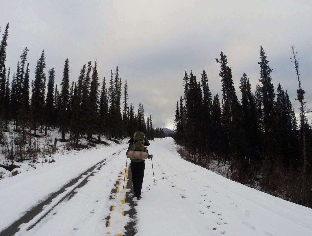 Camper submitted image from Backcountry Entrance Units — Denali National Park - 2
