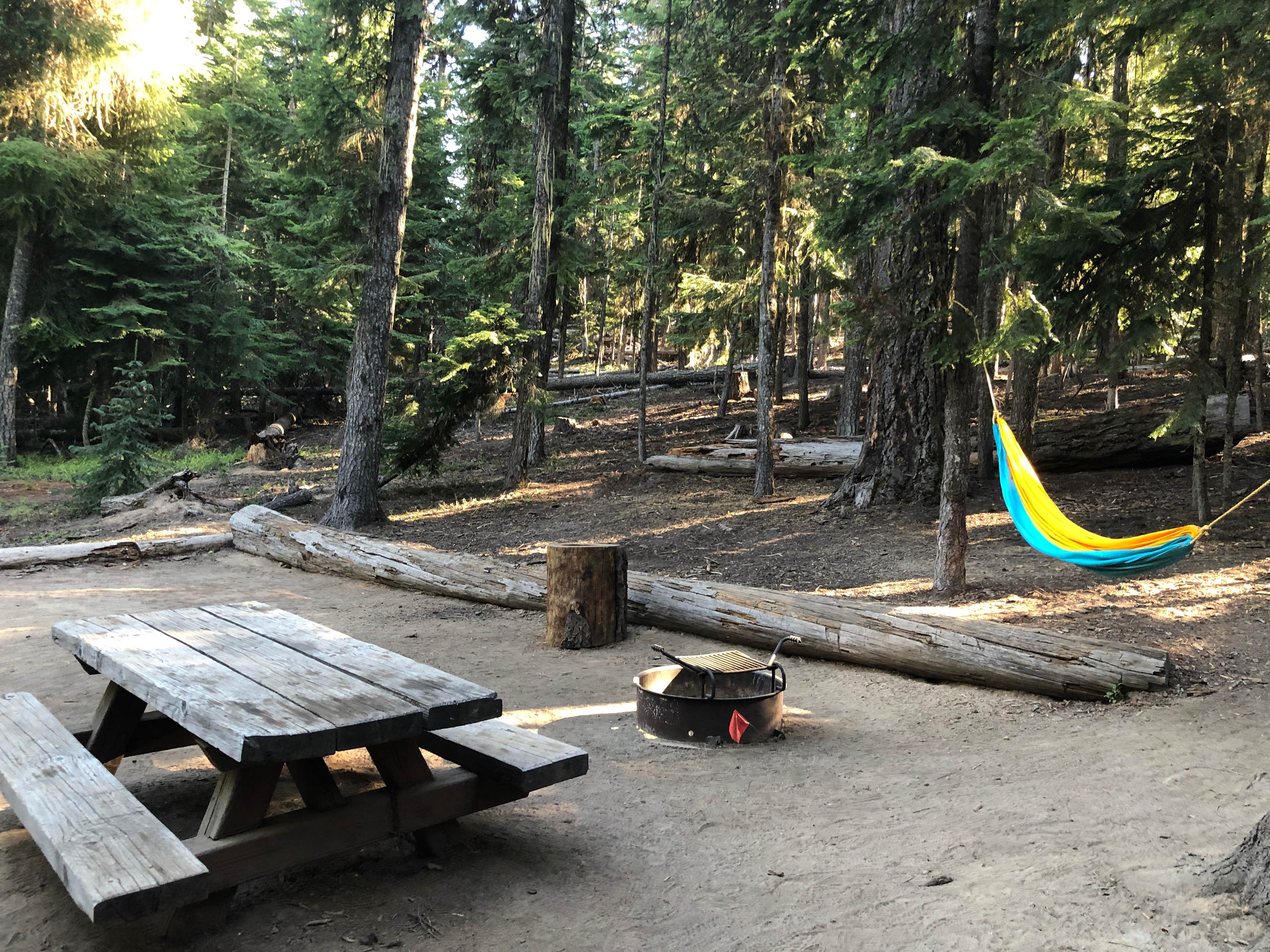 Camper-submitted photo at Pebble Ford Campground near John Day Lock and Dam, Lake Umatilla