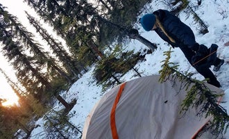 Camping near Wildthingz Dog Mushing: Backcountry Entrance Units — Denali National Park, Denali National Park, Alaska