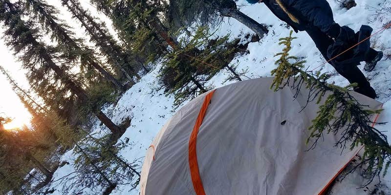 Camper submitted image from Backcountry Entrance Units — Denali National Park